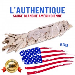 Sauge Blanche amérindienne