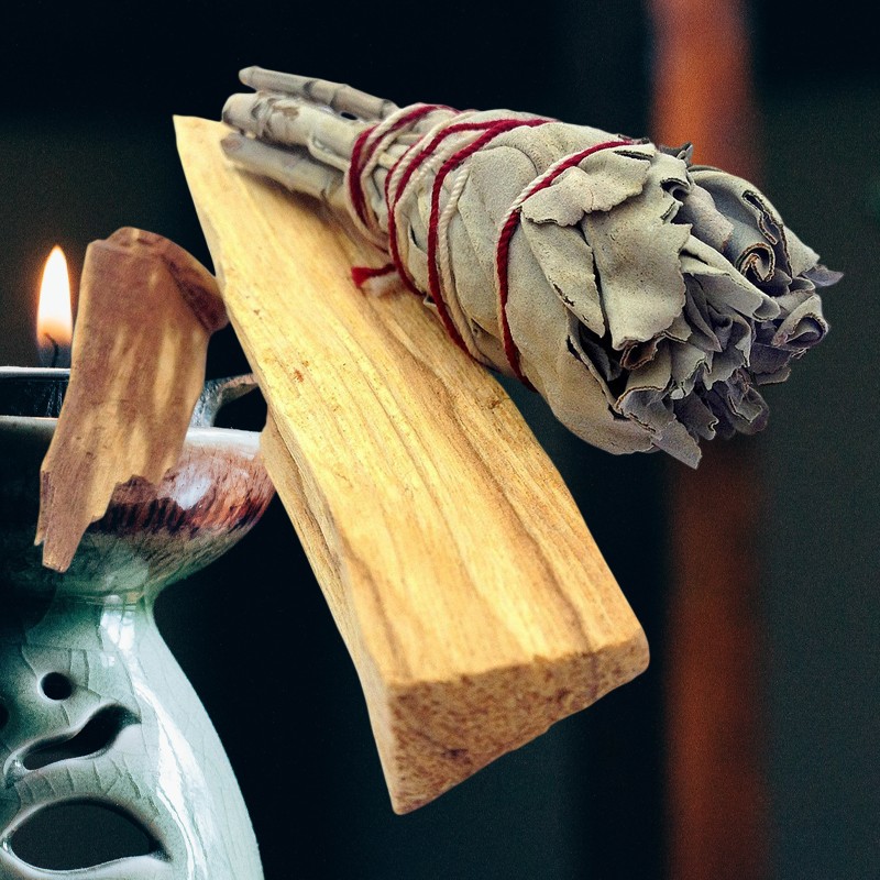 Palo Santo vs Sauge : quelle différence et comment les utiliser ?